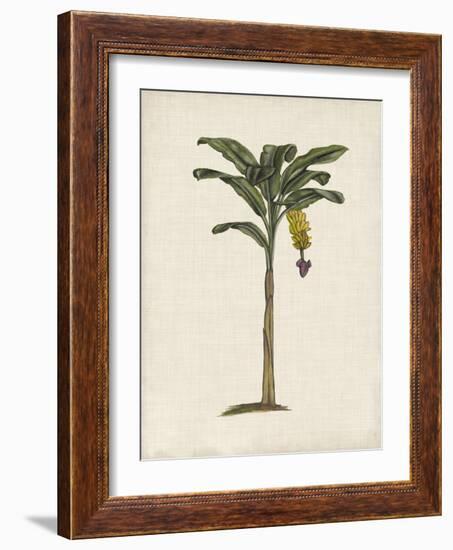 British Palms III-Naomi McCavitt-Framed Art Print