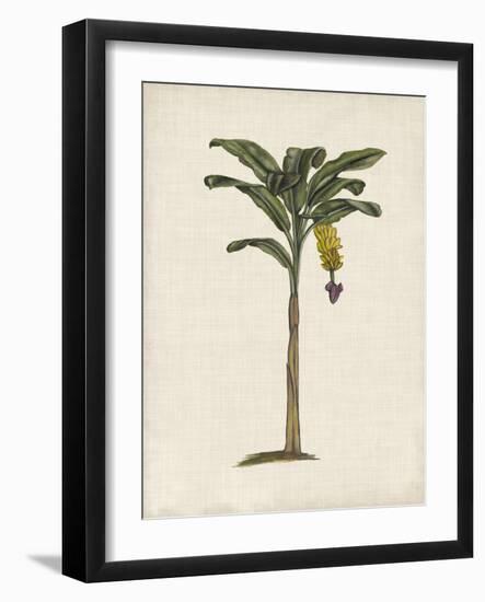 British Palms III-Naomi McCavitt-Framed Art Print