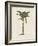 British Palms III-Naomi McCavitt-Framed Art Print