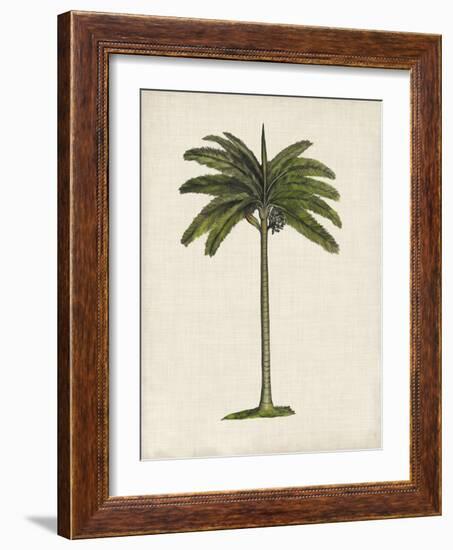 British Palms IV-Naomi McCavitt-Framed Art Print