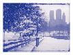 Photographic Print