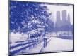 Photographic Print