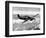 British RAF Hawker Hurricane-null-Framed Photographic Print