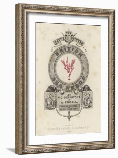 British Sea-Weed-null-Framed Giclee Print