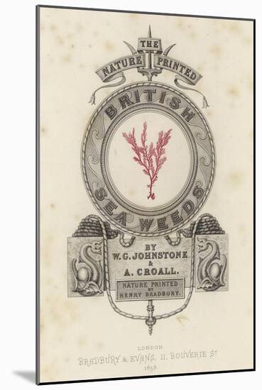 British Sea-Weed-null-Mounted Giclee Print