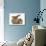 British Shorthair Brown Tabby Female Kitten with Young Agouti Rabbit-Jane Burton-Photographic Print displayed on a wall