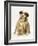 British Shorthair Red Tabby Kitten Sitting with Sable Border Collie Pup-Jane Burton-Framed Photographic Print