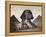 British Soldiers at the Sphinx-Bettmann-Framed Premier Image Canvas