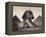 British Soldiers at the Sphinx-Bettmann-Framed Premier Image Canvas