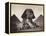 British Soldiers at the Sphinx-Bettmann-Framed Premier Image Canvas