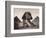 British Soldiers at the Sphinx-Bettmann-Framed Photographic Print