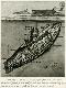 Premium Photographic Print