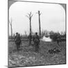 British Troops Occupying Houthulst Forest, Flanders, Belgium, World War I, C1914-C1918-null-Mounted Photographic Print