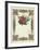 British Valentine Card with an Image of Flowers-null-Framed Giclee Print