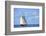 British Virgin Islands, Jost Van Dyke. Freedom Schooner Amistad under Sail-Kevin Oke-Framed Photographic Print