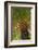 British Virgin Islands, Scrub Island. Close Up of the Underside of a Palm Tree-Kevin Oke-Framed Photographic Print