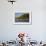 British Virgin Islands, Tortola. Boats at the Marina in West End-Kevin Oke-Framed Photographic Print displayed on a wall