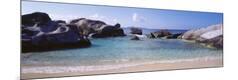 Premium Photographic Print