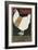 British World War I Poster for Egg Collection-null-Framed Giclee Print