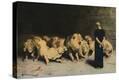 Stretched Canvas Print