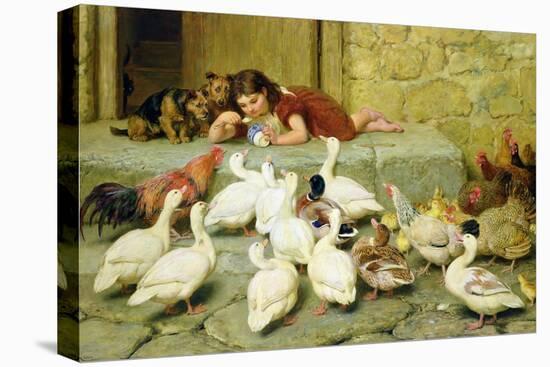 Stretched Canvas Print, , large
