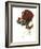 Britt-Tim Knepp-Framed Giclee Print