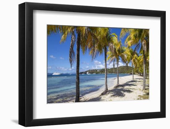 Brittania Bay beach, Mustique, The Grenadines, St. Vincent and The Grenadines-Jane Sweeney-Framed Photographic Print