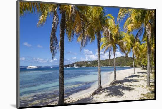 Brittania Bay beach, Mustique, The Grenadines, St. Vincent and The Grenadines-Jane Sweeney-Mounted Photographic Print