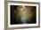 Brittany Golden Gate-Philippe Manguin-Framed Photographic Print