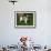 Brittany Spaniel, Domestic Gundog, USA-Lynn M^ Stone-Framed Photographic Print displayed on a wall