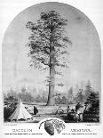 Scotts Bar and French Bar, on the Scotts River, Siskiyou County, California, 1856-Britton & Rey-Giclee Print