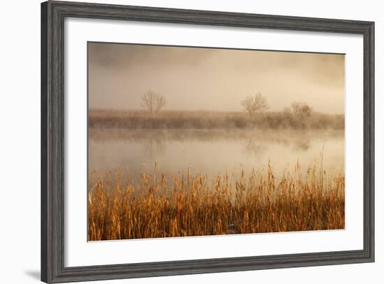 Brivio, Adda North Park, Lombardy, Italy. Fog over the Adda River and Three Trees-ClickAlps-Framed Photographic Print