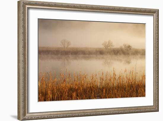 Brivio, Adda North Park, Lombardy, Italy. Fog over the Adda River and Three Trees-ClickAlps-Framed Photographic Print