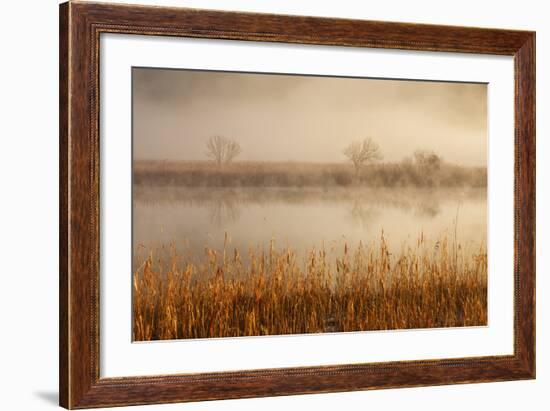 Brivio, Adda North Park, Lombardy, Italy. Fog over the Adda River and Three Trees-ClickAlps-Framed Photographic Print