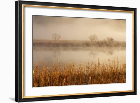 Brivio, Adda North Park, Lombardy, Italy. Fog over the Adda River and Three Trees-ClickAlps-Framed Photographic Print