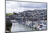 Brixham Harbour and Marina, Devon, England, United Kingdom, Europe-Rob Cousins-Mounted Photographic Print