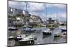 Brixham Harbour, Devon, England, United Kingdom, Europe-Rob Cousins-Mounted Photographic Print