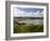 Broad Haven on the Pembrokeshire Coast Path, Pembrokeshire, Wales, United Kingdom-Rob Cousins-Framed Photographic Print