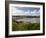 Broad Haven on the Pembrokeshire Coast Path, Pembrokeshire, Wales, United Kingdom-Rob Cousins-Framed Photographic Print