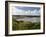 Broad Haven on the Pembrokeshire Coast Path, Pembrokeshire, Wales, United Kingdom-Rob Cousins-Framed Photographic Print