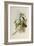 Broad-Tailed Flame-Bearer, Selasphorus Platycercus-John Gould-Framed Giclee Print