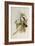 Broad-Tailed Flame-Bearer, Selasphorus Platycercus-John Gould-Framed Giclee Print