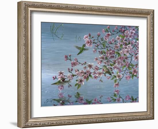 Broad Tailed Hummer-Jeff Tift-Framed Giclee Print