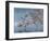 Broad Tailed Hummer-Jeff Tift-Framed Giclee Print