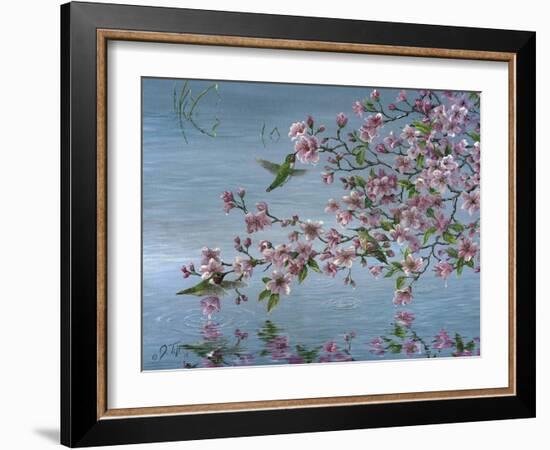 Broad Tailed Hummer-Jeff Tift-Framed Giclee Print