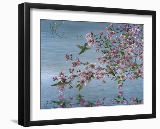 Broad Tailed Hummer-Jeff Tift-Framed Giclee Print