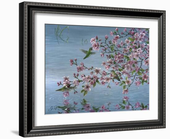 Broad Tailed Hummer-Jeff Tift-Framed Giclee Print