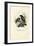 Broadbills, 1863-79-Raimundo Petraroja-Framed Giclee Print