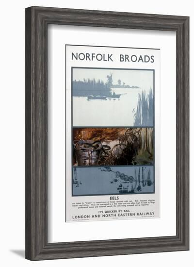 Broads Eels-null-Framed Art Print