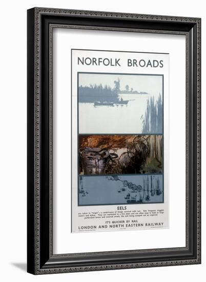 Broads Eels-null-Framed Art Print